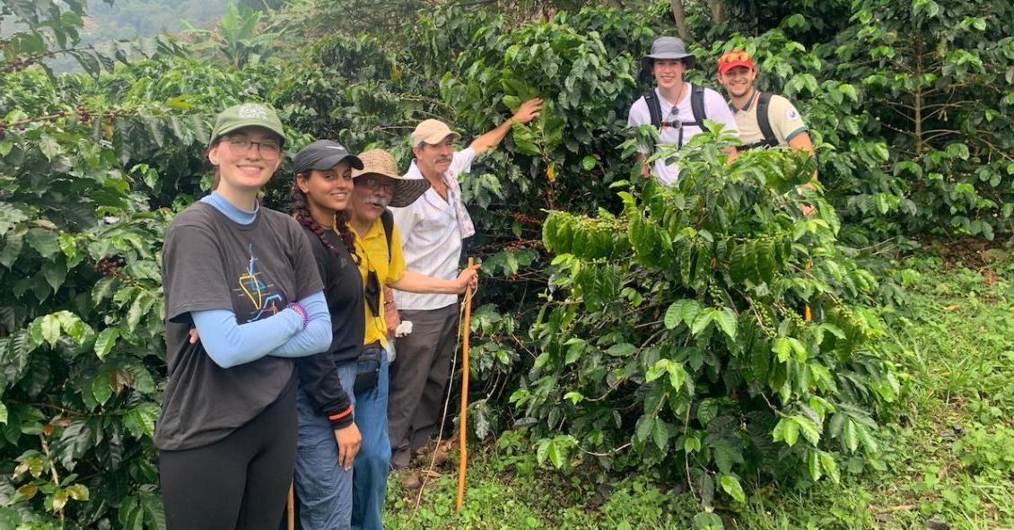 哥伦比亚的学生和咖啡农在一起.